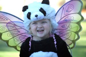 fairy-panda-bear-costume