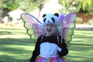 fairy-panda-bear-with-wand