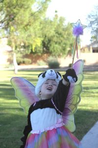 halloween-fairy-panda-bear